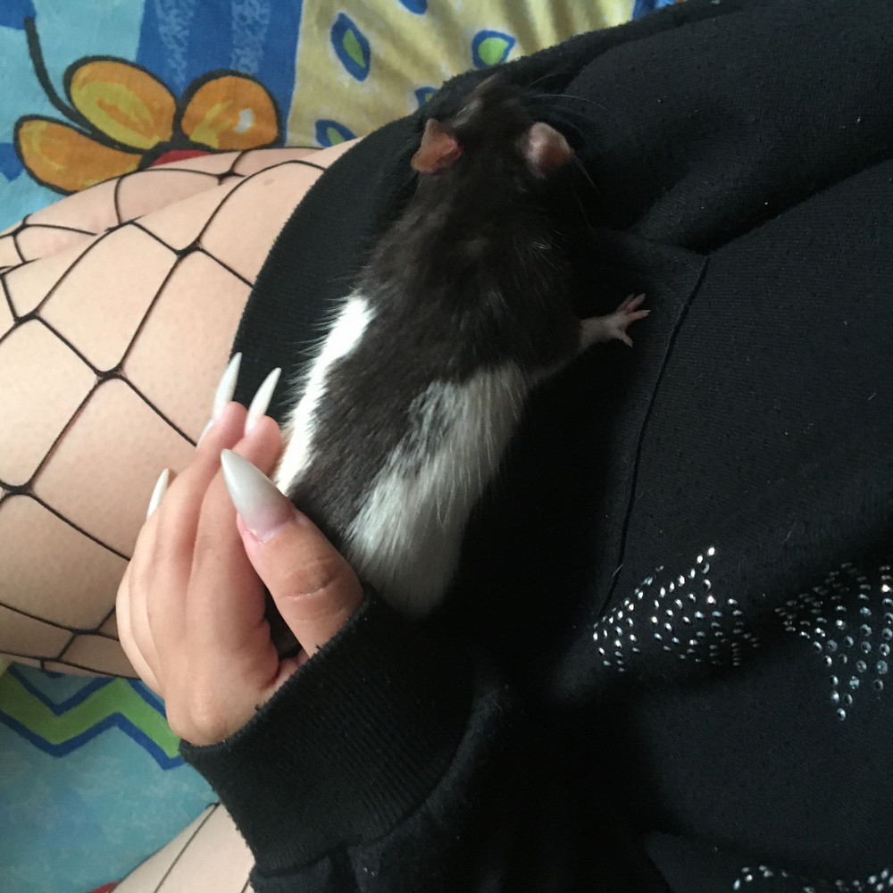 заебок норм все круто класс всем советую 